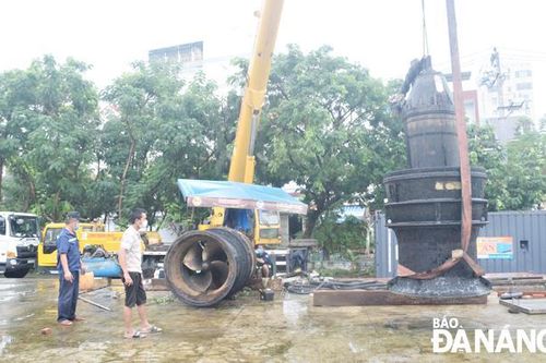 Khắc phục sự cố trạm bơm chống ngập, thu hoạch lúa, rau màu