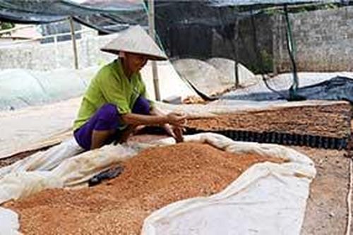 Hữu Lũng: Đi trước một bước trong công tác tuyên truyềnTin khácNgành giáo dục tận dụng thời gian 'vàng' để dạy họcĐảm bảo chất lượng thuốc, đáp ứng nhu cầu chăm sóc sức khỏe Nhân dân