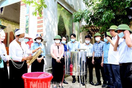 Nho Quan: Hiệu quả thực hiện Đề án tái cơ cấu ngành Nông nghiệp
