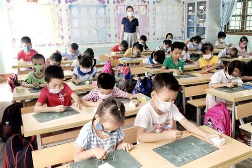 Gần 84% học sinh tiểu học được học 2 buổi/ngày