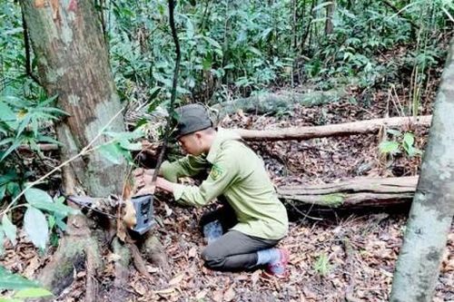 Bạn đọc Bạn đọc An toàn cho động vật hoang dã