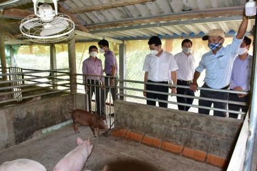 Kinh tế Nông nghiệp - Nông thôn Xây dựng nền nông nghiệp hữu cơ 'xanh, sạch và bền vững'