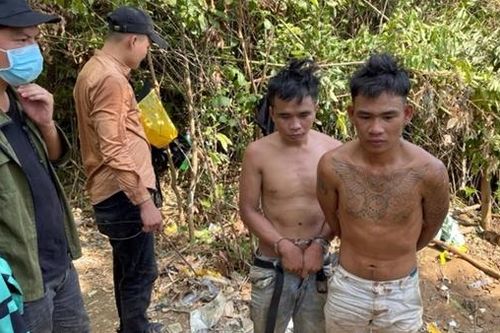 Lập lán trại trong rừng để... bán ma túy