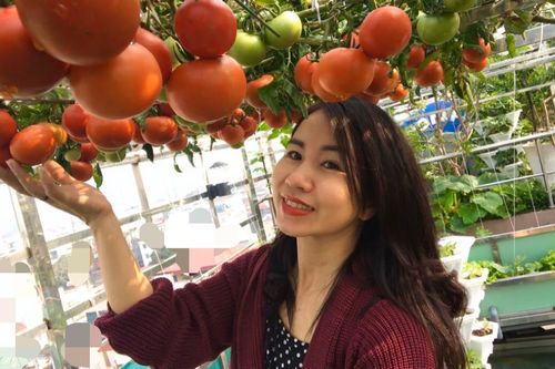 Người phụ nữ trồng nho, bưởi, nuôi gà trên sân thượng 100 m2