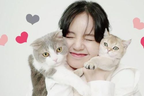 Bất ngờ với thói quen trước khi ngủ của Lisa Blackpink