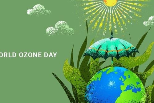 Bảo vệ tầng ozon, làm chậm lại quá trình biến đổi khí hậu