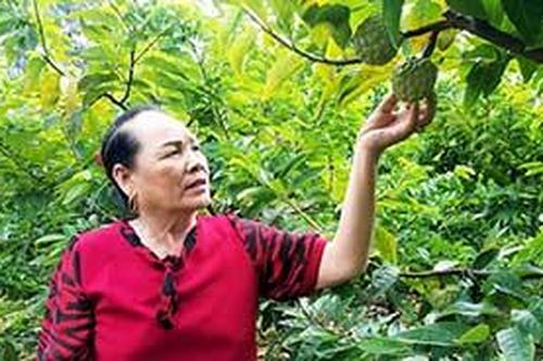Nhà nông làm giàu trên đồng đất quê hươngTin khácNgành giáo dục tận dụng thời gian 'vàng' để dạy họcĐảm bảo chất lượng thuốc, đáp ứng nhu cầu chăm sóc sức khỏe Nhân dân