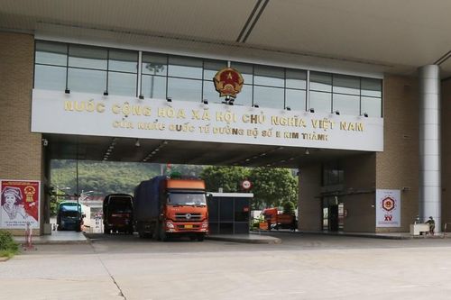 Mặt hàng quả chuối tươi của Lào Cai xuất khẩu trở lại