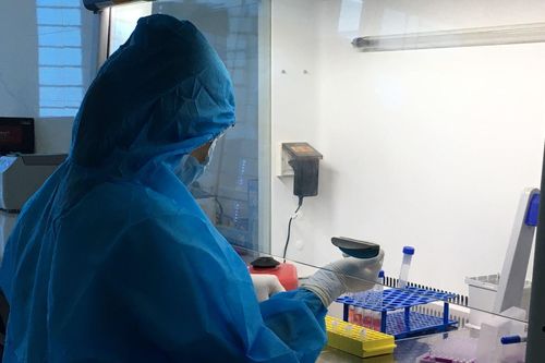 Triển khai xét nghiệm sàng lọc SARS-CoV-2 tại Trung tâm Y tế huyện Cẩm Khê