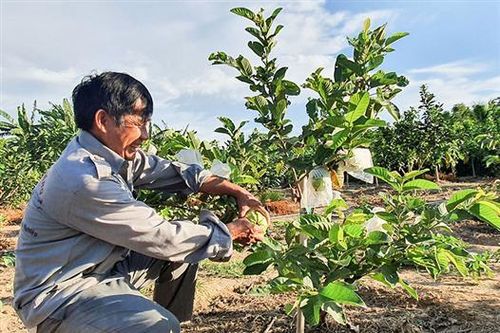 Cần thực hiện tốt hơn công tác đảm bảo an toàn thực phẩm