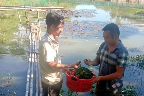 Đảng viên đi trước ở Bạch Xa