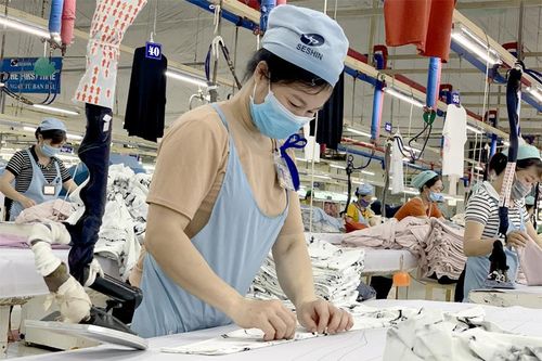 Phát huy lợi thế vùng xanh, đẩy mạnh phát triển kinh tế