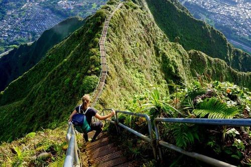 Cầu thang Haiku nổi tiếng của Hawaii có thể bị loại bỏ