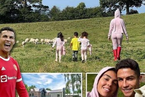 Ronaldo buộc phải chuyển nhà mới ở Anh vì...sợ đàn cừu