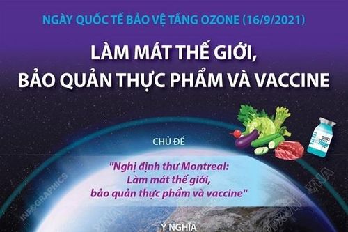Ngày Quốc tế bảo vệ tầng ozone: Làm mát thế giới, bảo quản thực phẩm