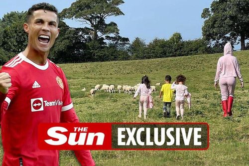 Ronaldo phải chuyển nhà vì bị đàn cừu quấy phá