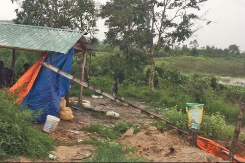 Chư Sê: Củng cố hồ sơ để khởi tố vụ phá rừng và lấn chiếm đất rừng trái phép