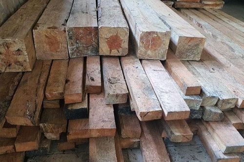 Từ nguồn tin báo, truy ra vụ phá rừng phòng hộ xã Lát