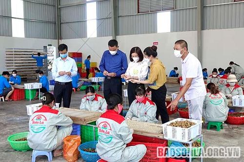 Khi cấp ủy vào cuộc tiêu thụ nông sản cho nhân dân