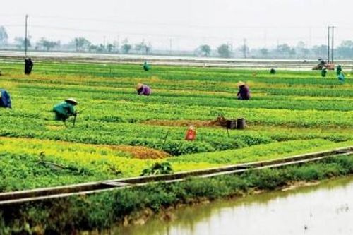 Kinh tế Kinh tế Để Huế phát triển xứng tầm - kỳ II: Vượt khó, ổn định tình hình