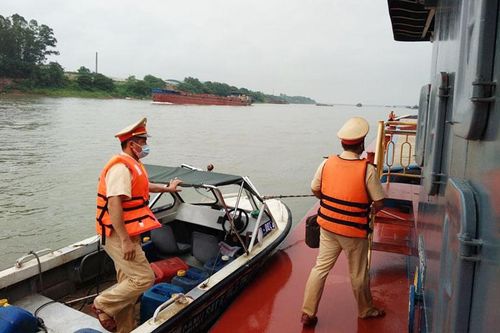Bảo vệ những 'vùng xanh' trên sông nước Thủ đô