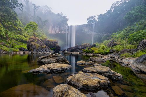 Khám phá 'nàng tiên' của rừng thiêng
