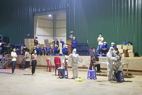 Khởi tố vụ án làm lây lan dịch bệnh tại Lâm Đồng