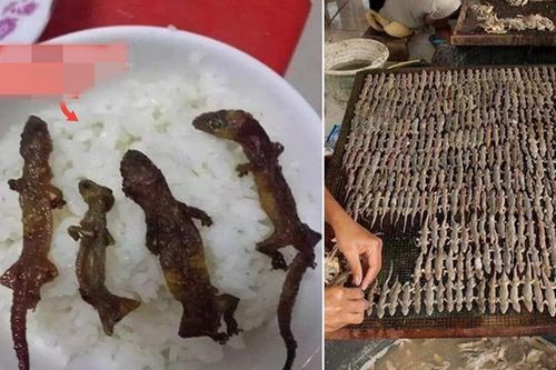 'Khiếp vía' đặc sản thằn lằn khô bốc mùi tanh ngòm của Indonesia