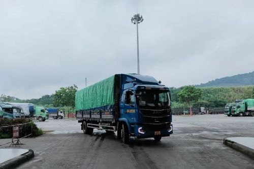 Lào Cai: Xuất khẩu 3.000 tấn quả chuối tươi sang thị trường vùng tây nam Trung Quốc