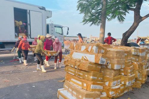 Quảng Ngãi: Hàng trăm tấn thủy sản bị dồn ứ ở các cảng biển