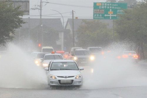 Hàn Quốc: Bão Chanthu gây ngập nặng trên đảo Jeju, nhiều chuyến bay bị hủy