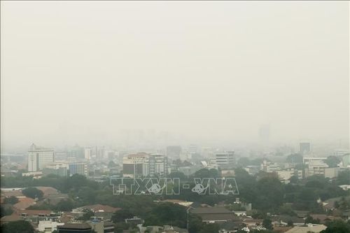 Tòa án Indonesia yêu cầu Tổng thống J.Widodo ban hành tiêu chuẩn chất lượng không khí quốc gia