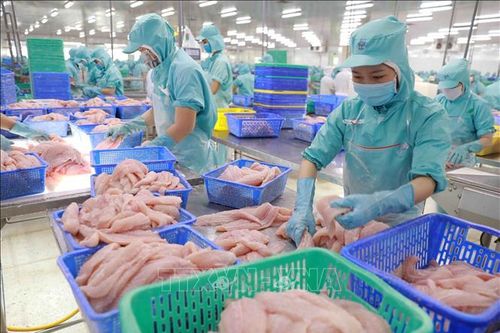 Doanh nghiệp sản xuất nông, lâm, thủy sản làm gì để giữ chân nhân lực?