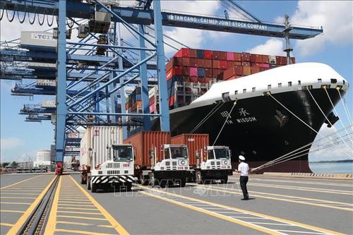 Xem xét tiếp tục lùi thời hạn thu phí hạ tầng cảng biển tại TP Hồ Chí Minh