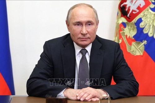 Bầu cử Duma Quốc gia Nga: Tổng thống Putin bỏ phiếu trực tuyến