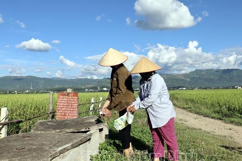 Bể thu gom chai, lọ thuốc bảo vệ thực vật