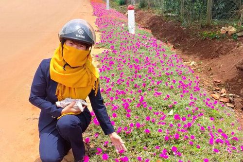 Lâm Hà: Phụ nữ phát huy vai trò trong xây dựng nông thôn mới