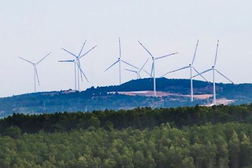 EU cam kết tăng thêm 4 tỉ euro cho các dự án khí hậu