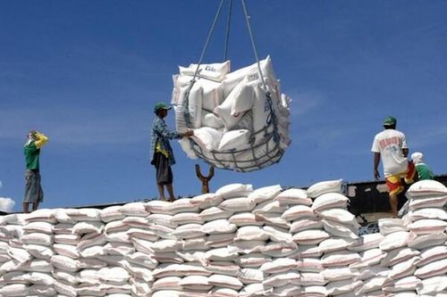 Xuất khẩu gạo của cả nước đạt hơn 2 tỉ USD trong 8 tháng đầu năm