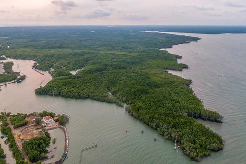 Cần Giờ thí điểm đón đoàn khách du lịch đầu tiên vào sáng 19/9