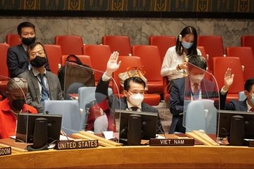 Hội đồng Bảo an thông qua 2 nghị quyết về Afghanistan và Iraq, thảo luận tình hình tại Somalia