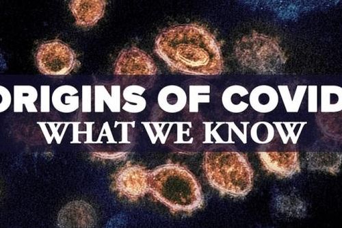 Báo Mỹ nói về nguồn gốc Covid-19, khả năng SARS-CoV-2 tồn tại hàng trăm năm, từ dơi lây sang người
