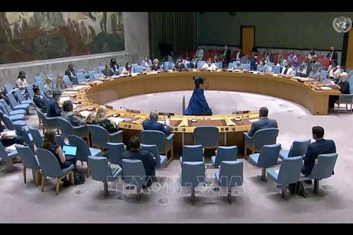 HĐBA thông qua hai nghị quyết về Afghanistan và Iraq
