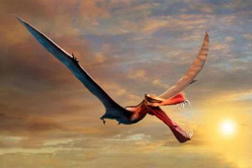 'Quái vật bay' kinh khủng nhất: Đầu cá sấu, cánh gấp 3 lần đại bàng