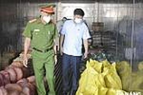 Bảo đảm hàng hóa chất lượng, trợ giá cho nhân dân