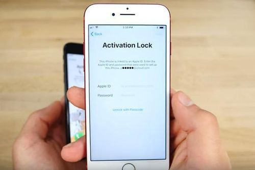 Nhận 12 năm tù vì hành nghề mở khóa iPhone