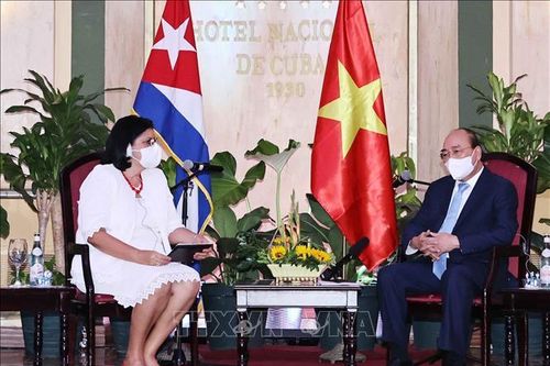 Chủ tịch nước Nguyễn Xuân Phúc tiếp các tổ chức hữu nghị Cuba-Việt Nam