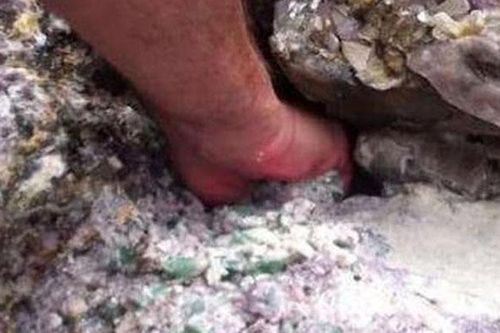 Bất chấp lời can ngăn, ông lão liều mạng thò tay vào hốc đá rồi 'bắt được' vật quý sánh ngang kim cương!