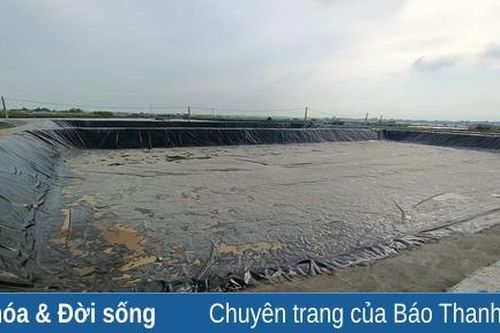 Hoằng Hóa: Hướng đi mới trong phát triển HTX nuôi trồng thủy sản