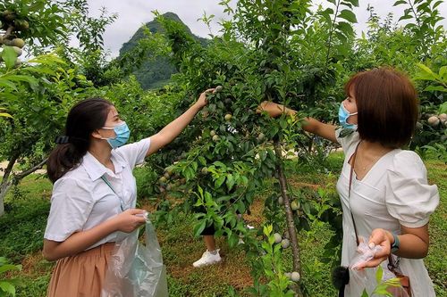 Du lịch nội tỉnh giải 'cơn khát' mùa dịch